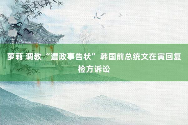 萝莉 调教 “遭政事告状” 韩国前总统文在寅回复检方诉讼